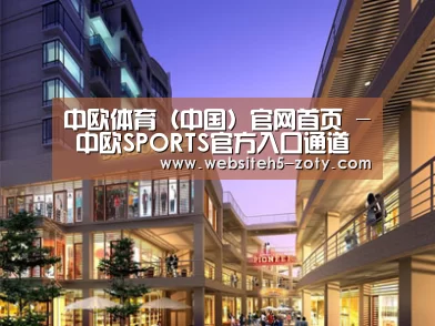 案例展示一(图1)
