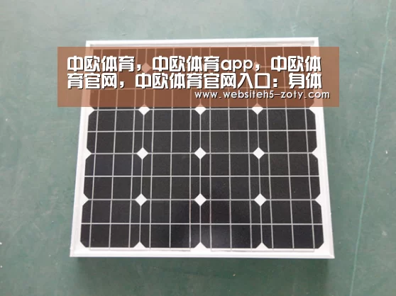 中欧体育,中欧体育app,中欧体育官网,中欧体育官网入口:身体力行做公益 吕良伟慈善接地气(图2) 中欧体育,中欧体育app,中欧体育官网,中欧体育官网入口