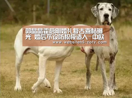 郭晶晶霍启刚婚礼复古喜帖曝光 婚后不设防积极造人-中欧体育,中欧体育app,中欧体育官网,中欧体育官网入口(图4) 中欧体育,中欧体育app,中欧体育官网,中欧体育官网入口