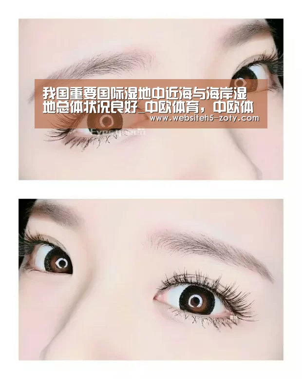 我国重要国际湿地中近海与海岸湿地总体状况良好_中欧体育,中欧体育app,中欧体育官网,中欧体育官网入口(图2) 中欧体育,中欧体育app,中欧体育官网,中欧体育官网入口