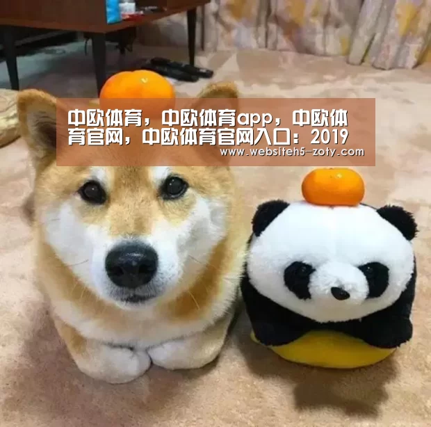 中欧体育，中欧体育app，中欧体育官网，中欧体育官网入口