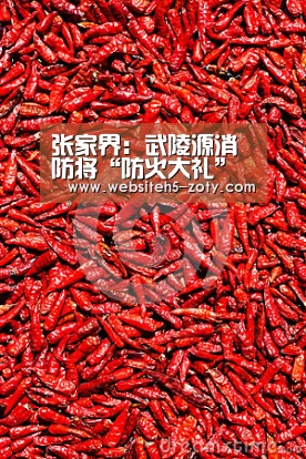 张家界:武陵源消防将“防火大礼”送进校园【中欧体育,中欧体育app,中欧体育官网,中欧体育官网入口】(图2) 中欧体育,中欧体育app,中欧体育官网,中欧体育官网入口