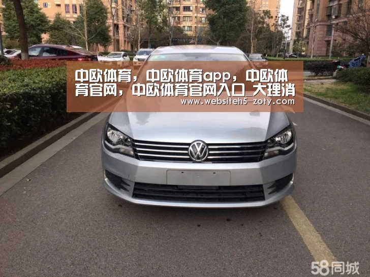 中欧体育,中欧体育app,中欧体育官网,中欧体育官网入口_大理消防顺利完成“大理巍山小吃节”安保任务(图4) 中欧体育,中欧体育app,中欧体育官网,中欧体育官网入口
