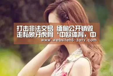 打击非法交易 缅甸公开销毁走私象牙虎骨‘中欧体育,中欧体育app,中欧体育官网,中欧体育官网入口’(图1) 中欧体育,中欧体育app,中欧体育官网,中欧体育官网入口