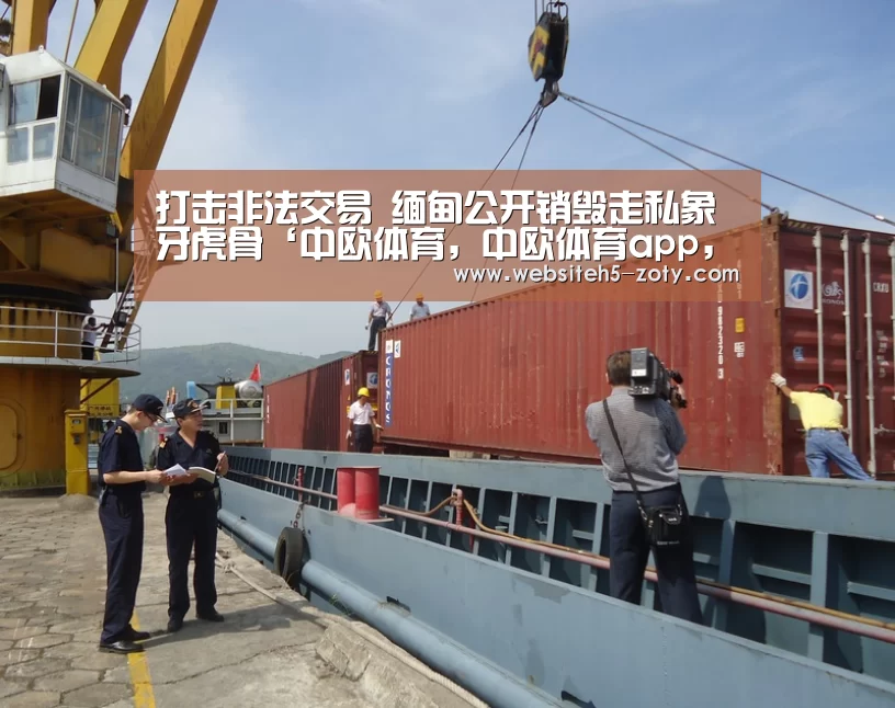 打击非法交易 缅甸公开销毁走私象牙虎骨‘中欧体育,中欧体育app,中欧体育官网,中欧体育官网入口’(图2) 中欧体育,中欧体育app,中欧体育官网,中欧体育官网入口