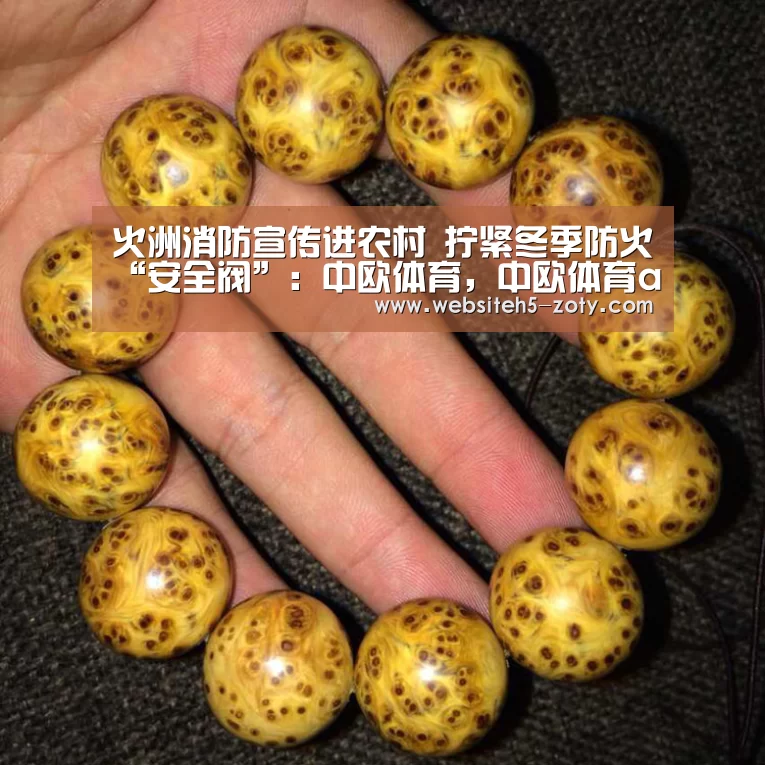 火洲消防宣传进农村 拧紧冬季防火“安全阀”:中欧体育,中欧体育app,中欧体育官网,中欧体育官网入口(图1) 中欧体育,中欧体育app,中欧体育官网,中欧体育官网入口