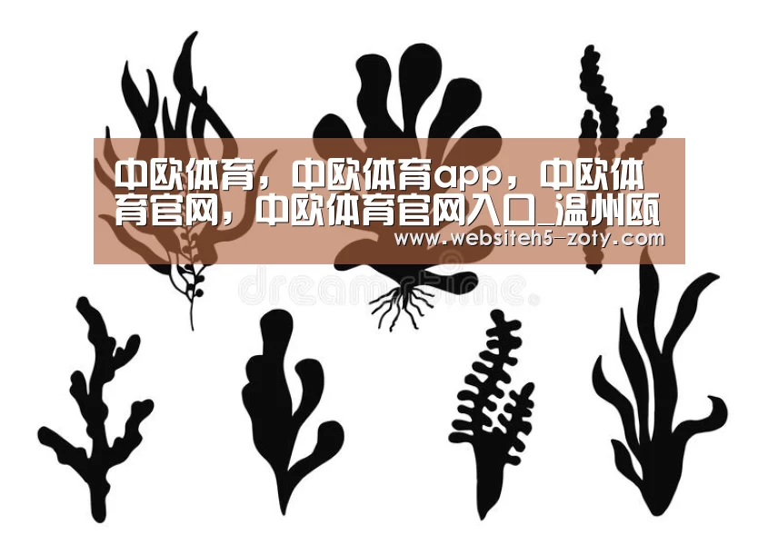 中欧体育，中欧体育app，中欧体育官网，中欧体育官网入口