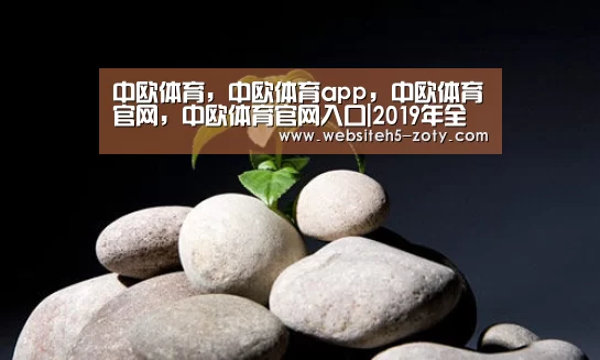 中欧体育，中欧体育app，中欧体育官网，中欧体育官网入口