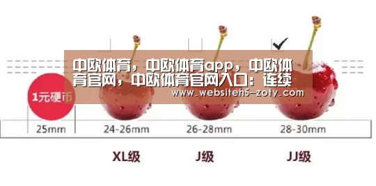 中欧体育，中欧体育app，中欧体育官网，中欧体育官网入口