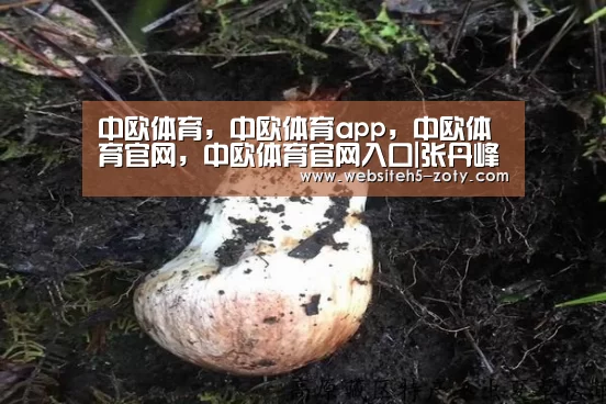 中欧体育,中欧体育app,中欧体育官网,中欧体育官网入口|张丹峰收“入学通知书”鲜肉“东方粑粑”受期待(图3) 中欧体育,中欧体育app,中欧体育官网,中欧体育官网入口
