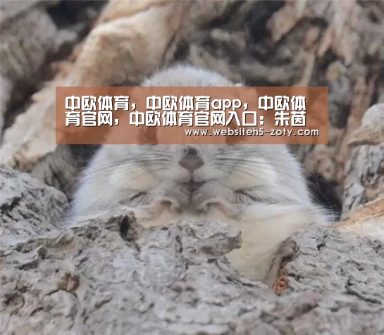 中欧体育,中欧体育app,中欧体育官网,中欧体育官网入口:朱茵凸肚看妇科老公黄贯中陪同 疑怀二胎欲生子(图1) 中欧体育,中欧体育app,中欧体育官网,中欧体育官网入口