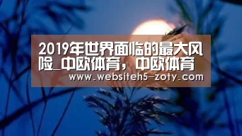2019年世界面临的最大风险_中欧体育,中欧体育app,中欧体育官网,中欧体育官网入口(图1) 中欧体育,中欧体育app,中欧体育官网,中欧体育官网入口